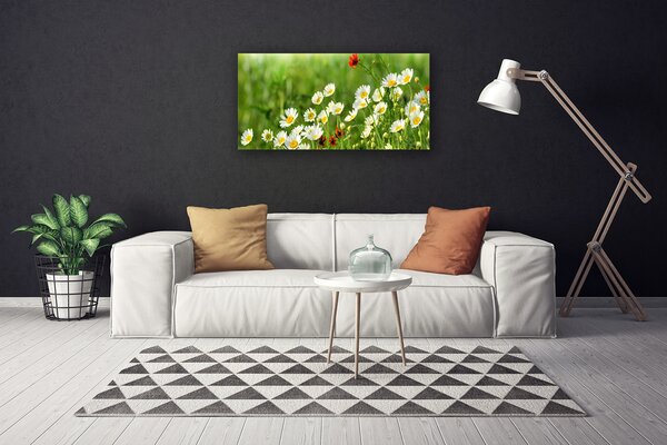 Obraz canvas Wiosenna Stokrotka w Trawie