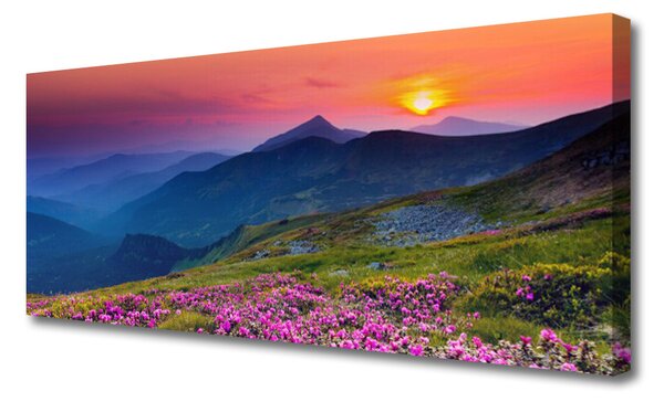 Obraz canvas na ścianę Alpejska Polana Kwiatowa