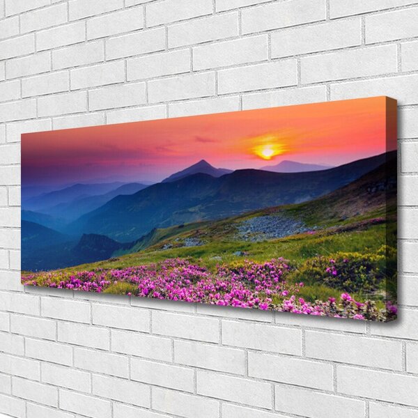 Obraz canvas na ścianę Alpejska Polana Kwiatowa