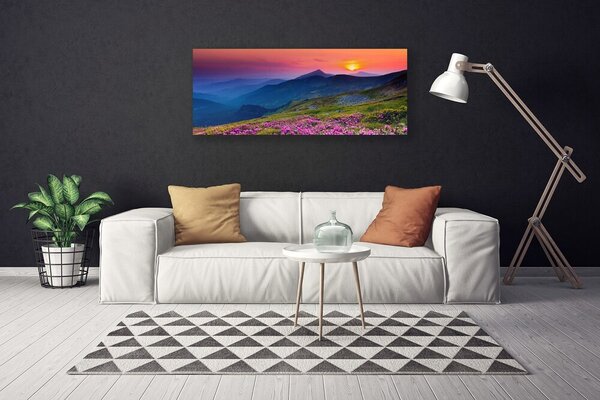 Obraz canvas na ścianę Alpejska Polana Kwiatowa