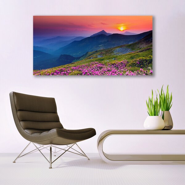 Obraz canvas na ścianę Alpejska Polana Kwiatowa