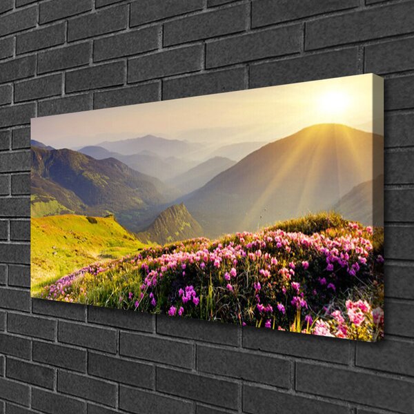 Obraz canvas na ścianę Panorama Górskiej Hali