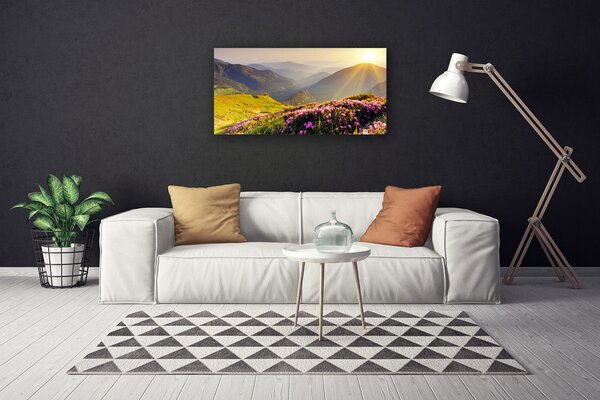 Obraz canvas na ścianę Panorama Górskiej Hali