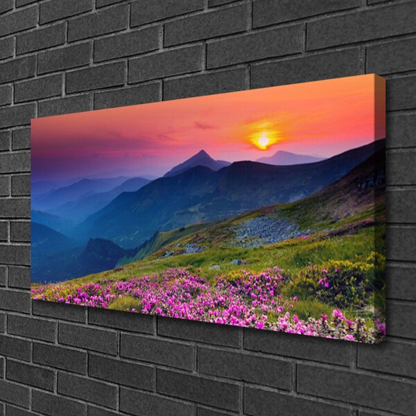 Obraz canvas na ścianę Alpejska Polana Kwiatowa