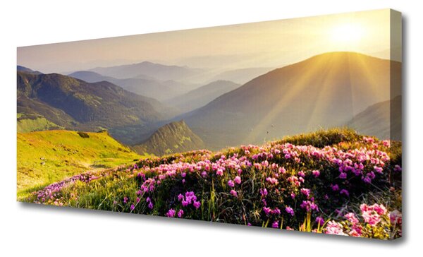 Obraz canvas na ścianę Panorama Górskiej Hali