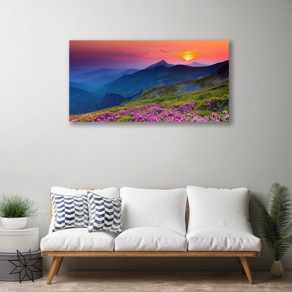 Obraz canvas na ścianę Alpejska Polana Kwiatowa