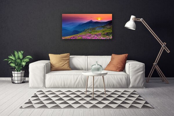 Obraz canvas na ścianę Alpejska Polana Kwiatowa