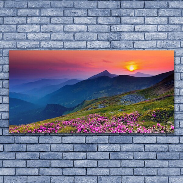Obraz canvas na ścianę Alpejska Polana Kwiatowa