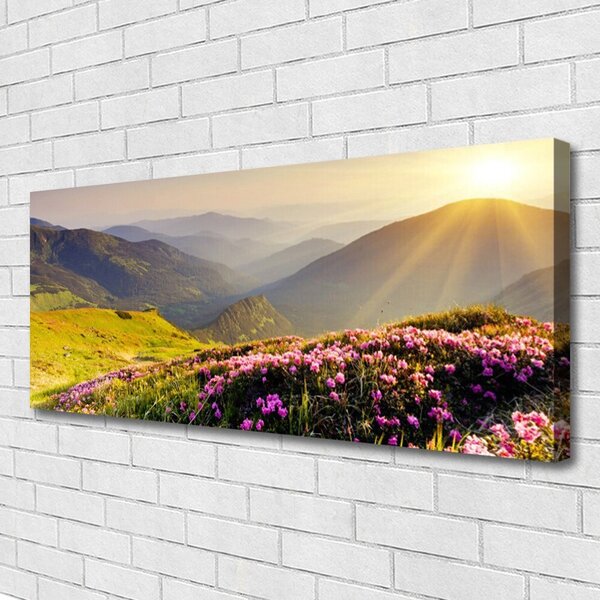 Obraz canvas na ścianę Panorama Górskiej Hali