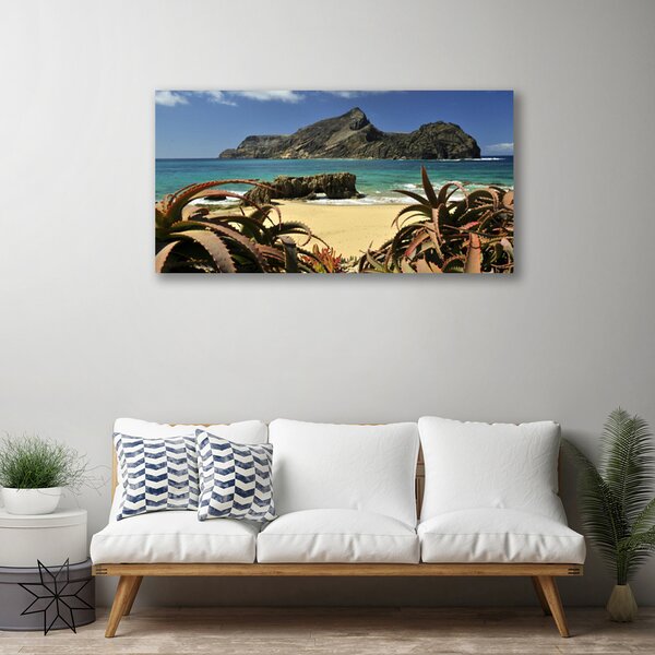 Obraz canvas Skaliste Wybrzeże Oceanu