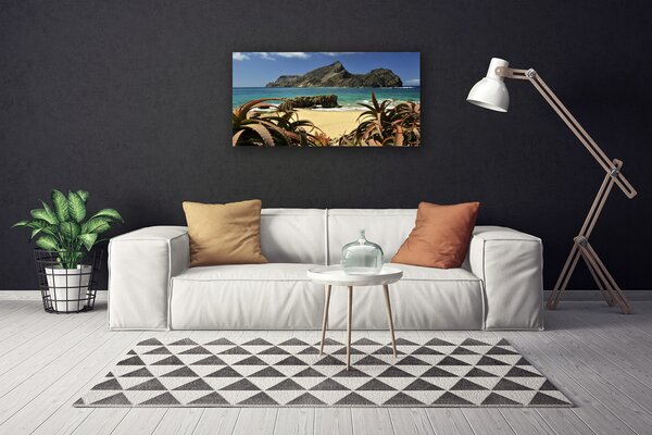 Obraz canvas Skaliste Wybrzeże Oceanu