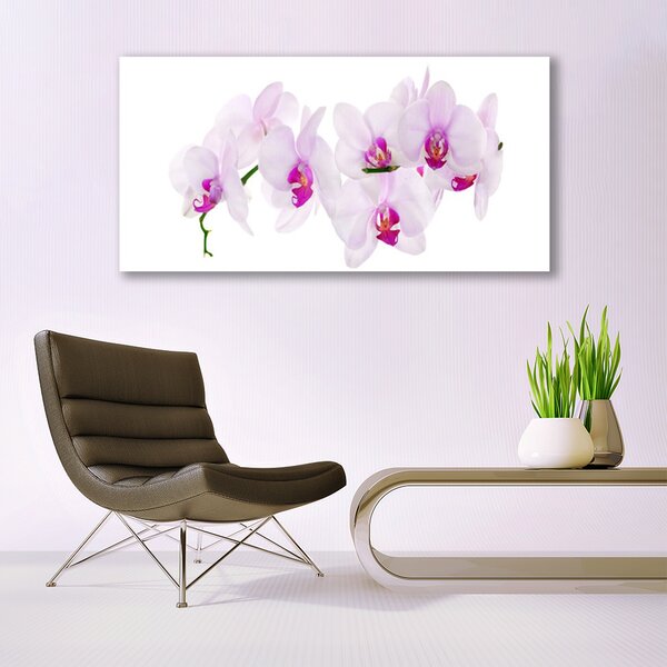 Obraz canvas Pastelowy Ogród Botaniczny