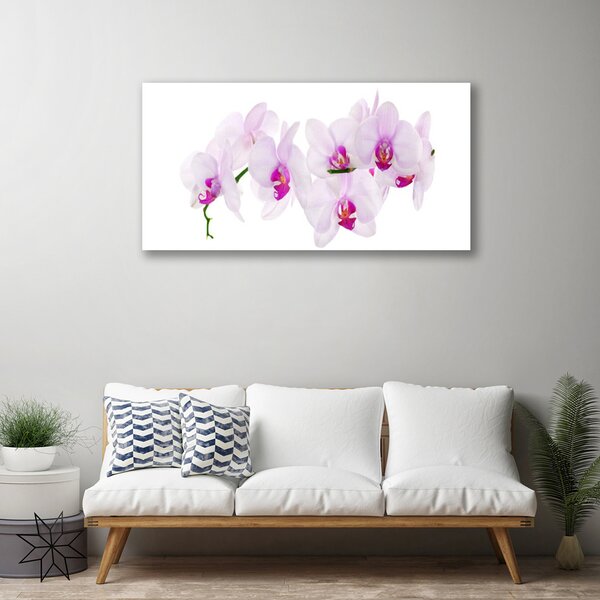Obraz canvas Pastelowy Ogród Botaniczny