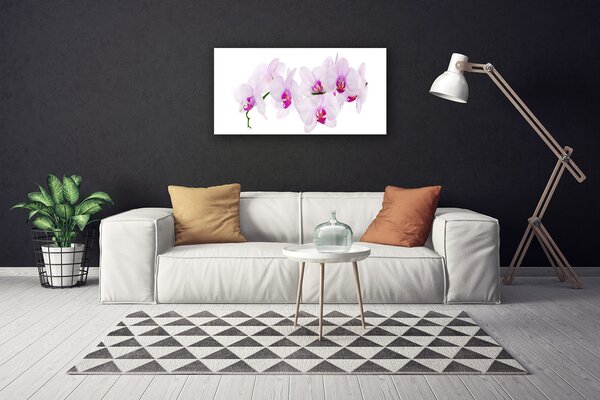 Obraz canvas Pastelowy Ogród Botaniczny
