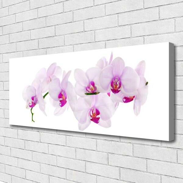 Obraz canvas Pastelowy Ogród Botaniczny