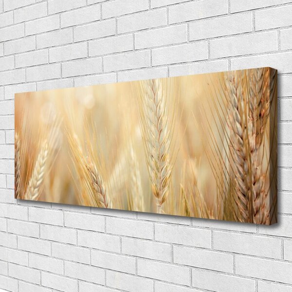 Obraz canvas Łany Złotej Pszenicy