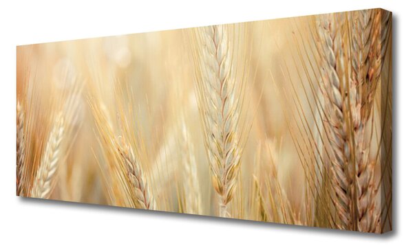 Obraz canvas Łany Złotej Pszenicy