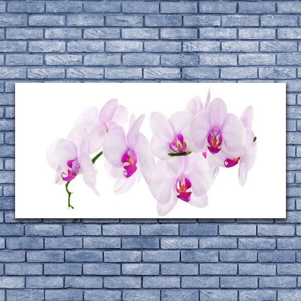 Obraz canvas Pastelowy Ogród Botaniczny
