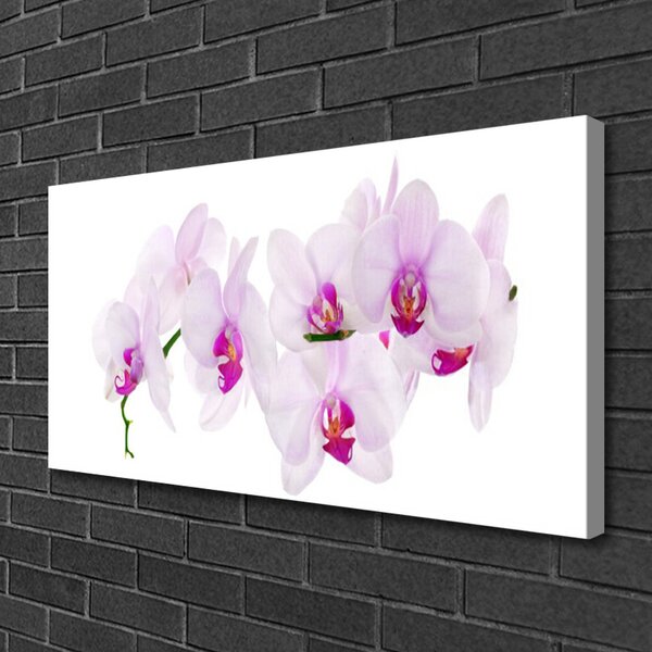 Obraz canvas Pastelowy Ogród Botaniczny