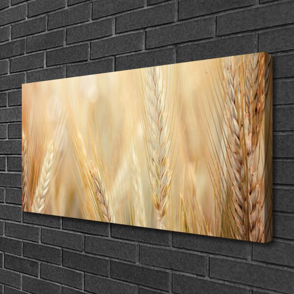 Obraz canvas Łany Złotej Pszenicy