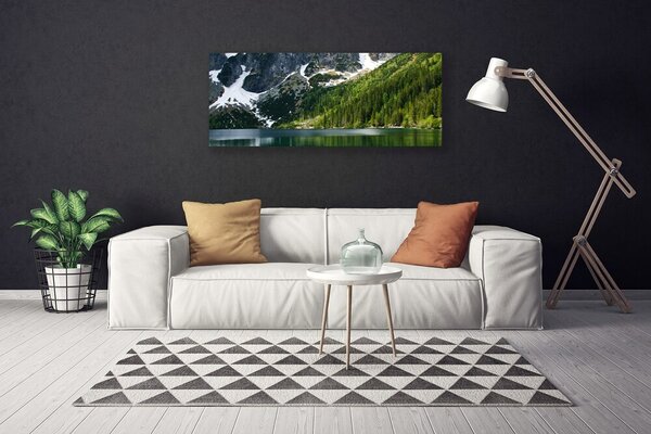 Obraz canvas Panorama Alpejskiej Natury