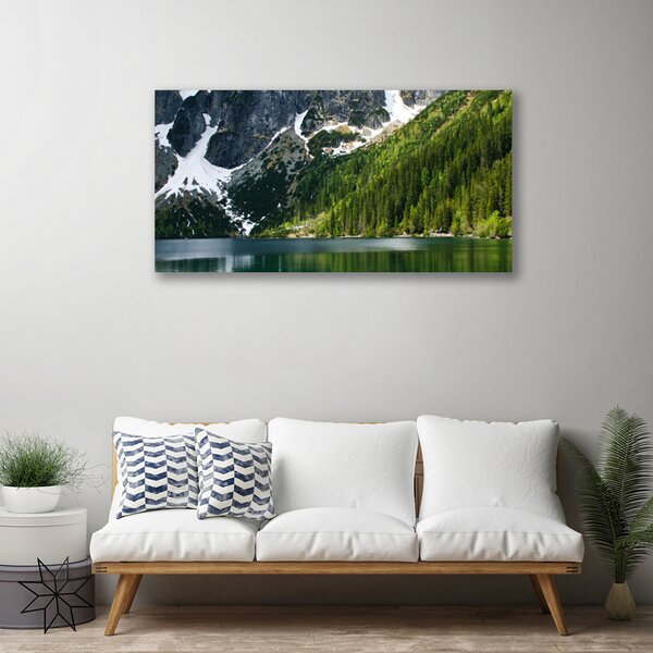 Obraz canvas Panorama Alpejskiej Natury