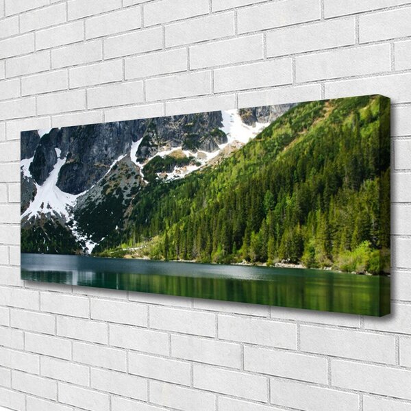 Obraz canvas Panorama Alpejskiej Natury