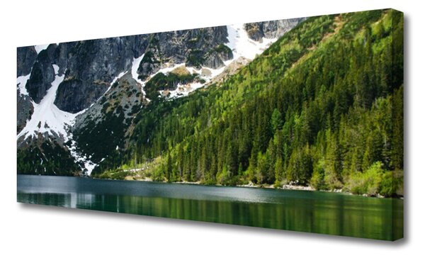 Obraz canvas Panorama Alpejskiej Natury