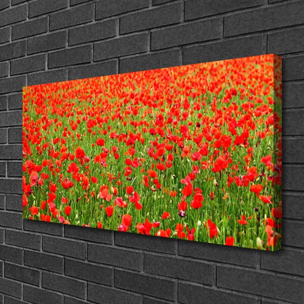 Obraz canvas Krwistoczerwone Maki
