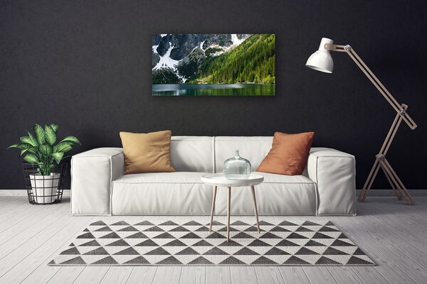 Obraz canvas Panorama Alpejskiej Natury