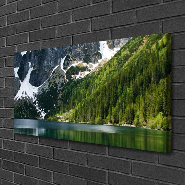 Obraz canvas Panorama Alpejskiej Natury