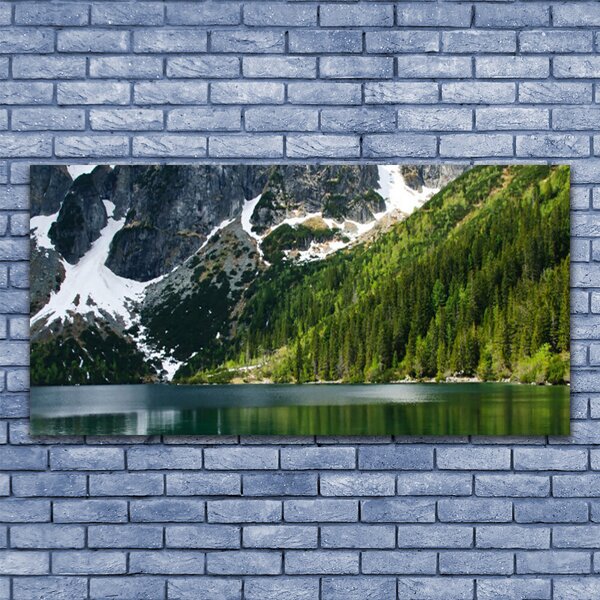 Obraz canvas Panorama Alpejskiej Natury