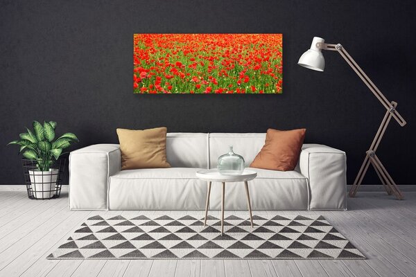Obraz canvas Krwistoczerwone Maki
