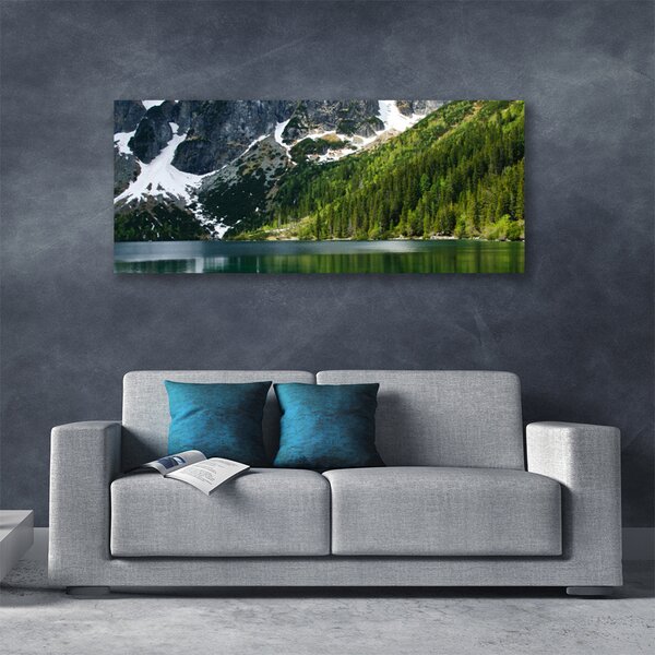 Obraz canvas Panorama Alpejskiej Natury