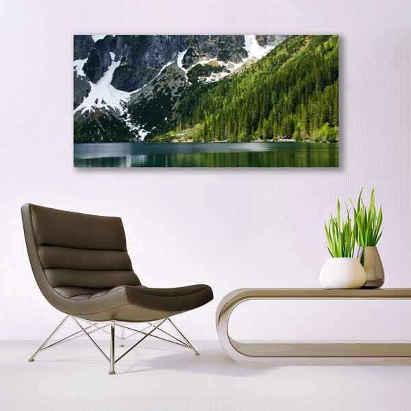 Obraz canvas Panorama Alpejskiej Natury