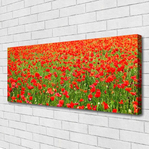 Obraz canvas Krwistoczerwone Maki