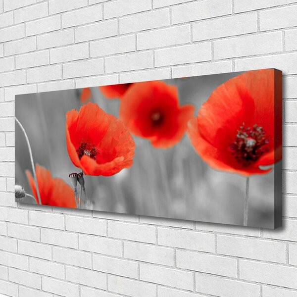 Obraz canvas Czerwone Maki w Polu