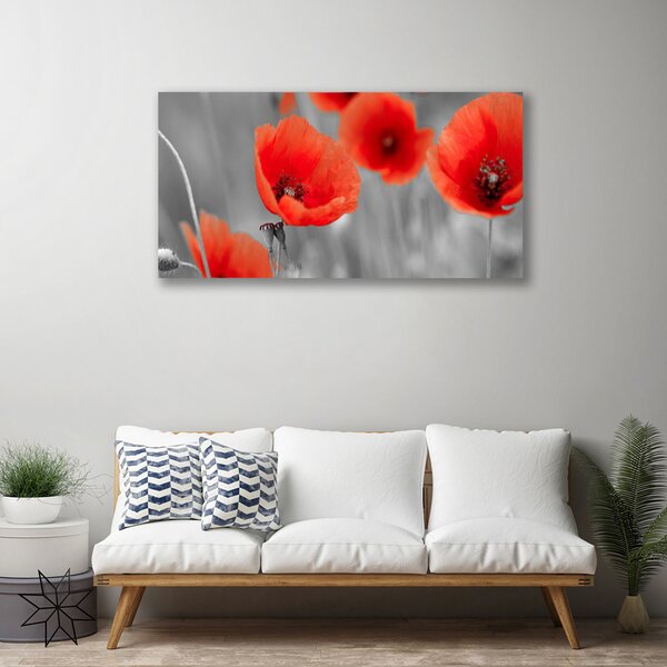 Obraz canvas Czerwone Maki w Polu
