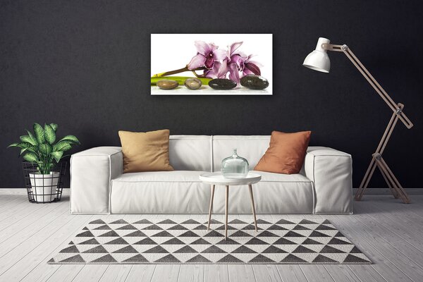 Obraz canvas Harmonijna Roślina i Kamienie