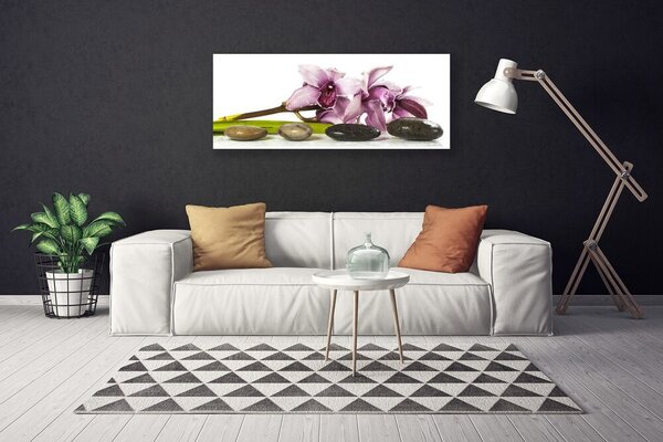 Obraz canvas Harmonijna Roślina i Kamienie