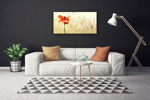 Obraz canvas Maki w Letnim Słońcu