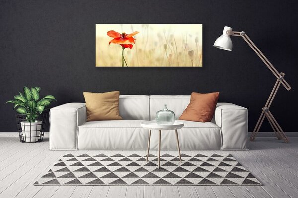 Obraz canvas Maki w Letnim Słońcu