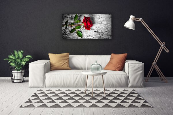 Obraz canvas Aksamitna Róża w Rozkwicie