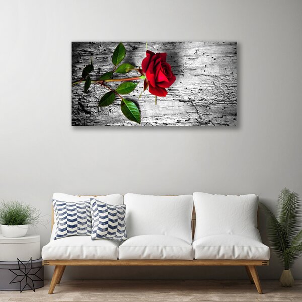Obraz canvas Aksamitna Róża w Rozkwicie