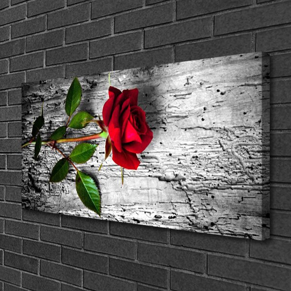 Obraz canvas Aksamitna Róża w Rozkwicie