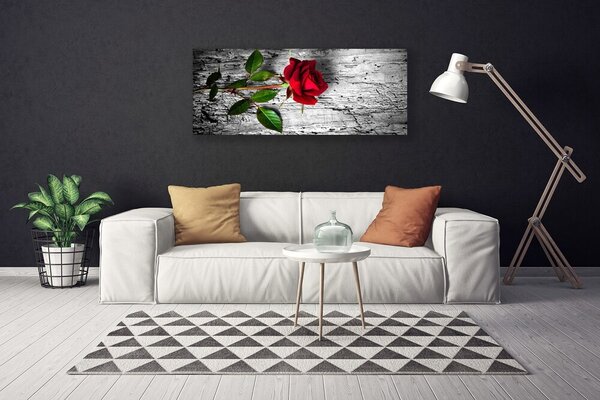 Obraz canvas Aksamitna Róża w Rozkwicie