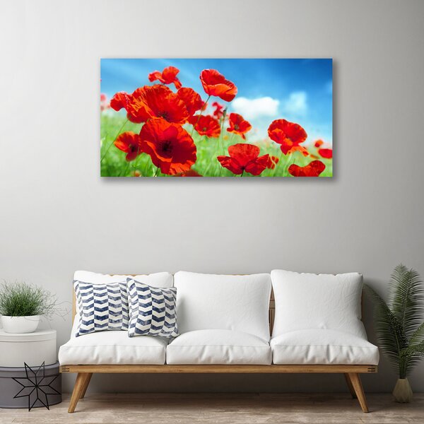 Obraz canvas na ścianę Maki w Porannej Rosie