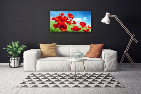 Obraz canvas na ścianę Maki w Porannej Rosie