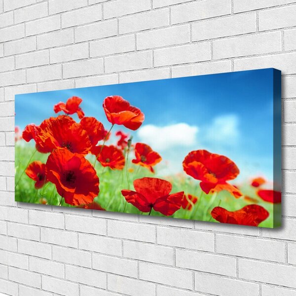 Obraz canvas na ścianę Maki w Porannej Rosie