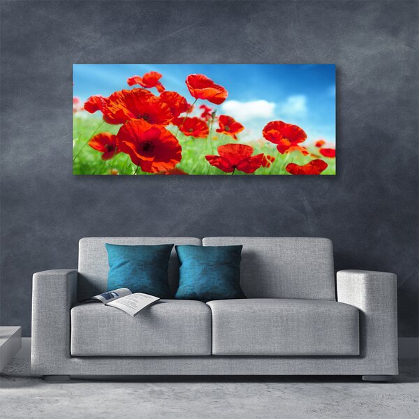 Obraz canvas na ścianę Maki w Porannej Rosie